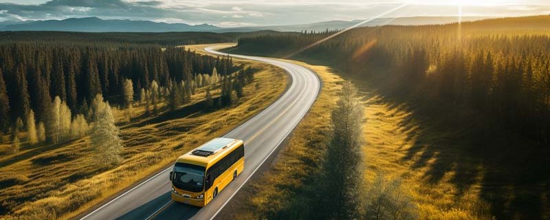 Фото автобуса на трассе, которая проходит в лесу